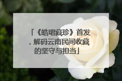《皓珺藏珍》首发，解码云南民间收藏的坚守与担当