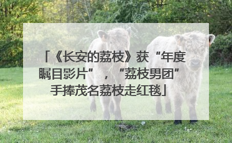 《长安的荔枝》获“年度瞩目影片”，“荔枝男团”手捧茂名荔枝走红毯