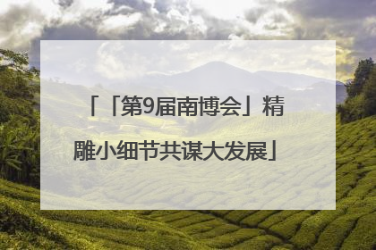 「第9届南博会」精雕小细节共谋大发展