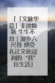 「文脉华章」非遗焕新 生生不息｜漫步六尺巷 感受礼让文化浸润的“巷”往生活