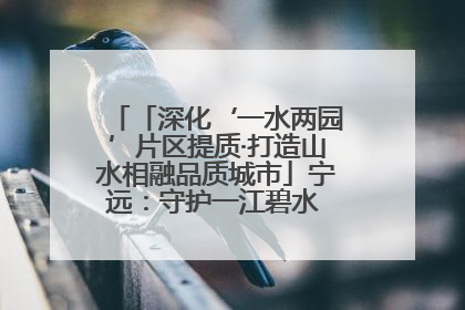 「深化‘一水两园’片区提质·打造山水相融品质城市」宁远：守护一江碧水 共享幸福河湖