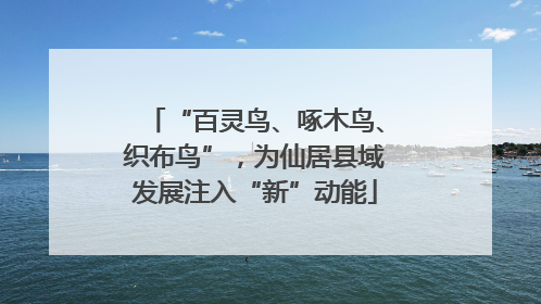 “百灵鸟、啄木鸟、织布鸟”，为仙居县域发展注入“新”动能