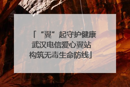“翼”起守护健康 武汉电信爱心翼站构筑无毒生命防线