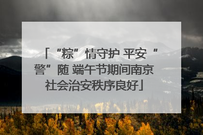 “粽”情守护 平安“警”随 端午节期间南京社会治安秩序良好