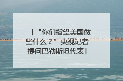 “你们指望美国做些什么？”央视记者提问巴勒斯坦代表