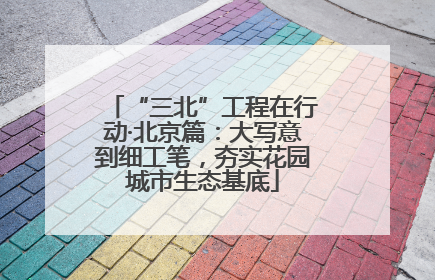 “三北”工程在行动·北京篇：大写意到细工笔，夯实花园城市生态基底