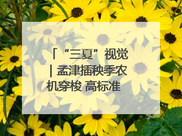 “三夏”视觉｜孟津插秧季农机穿梭 高标准农田披绿装