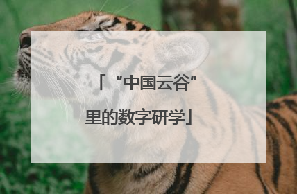 “中国云谷”里的数字研学