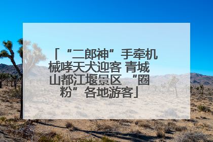 “二郎神”手牵机械哮天犬迎客 青城山都江堰景区 “圈粉”各地游客
