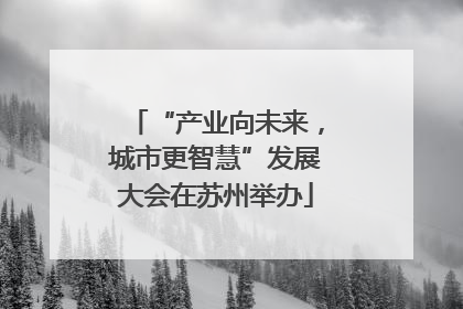 “产业向未来，城市更智慧”发展大会在苏州举办
