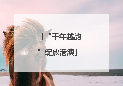 “千年越韵”绽放港澳
