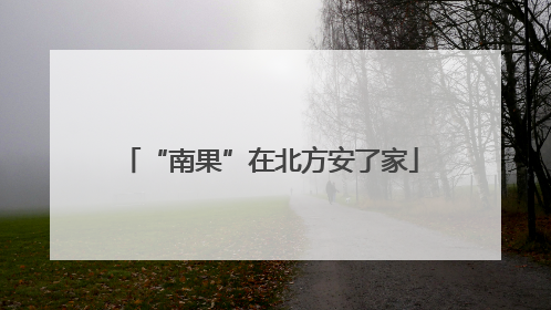 “南果”在北方安了家
