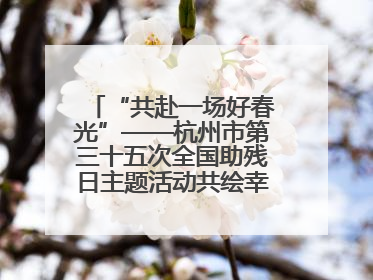“共赴一场好春光”——杭州市第三十五次全国助残日主题活动共绘幸福答卷（组图）