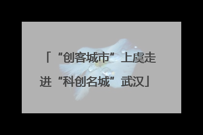 “创客城市”上虞走进“科创名城”武汉
