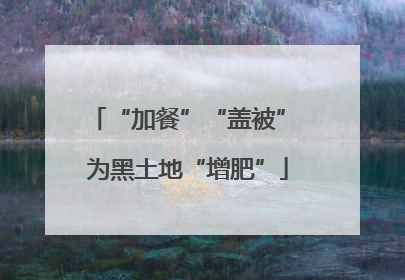 “加餐”“盖被” 为黑土地“增肥”