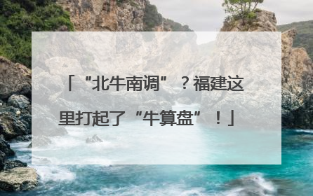 “北牛南调”？福建这里打起了“牛算盘”！