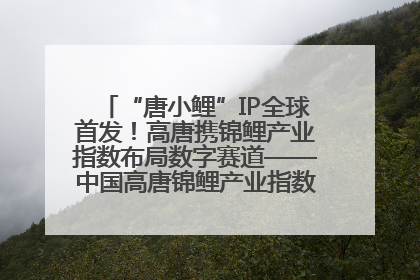 “唐小鲤”IP全球首发！高唐携锦鲤产业指数布局数字赛道——中国高唐锦鲤产业指数暨“唐小鲤”IP全球首发仪式在杭州举行