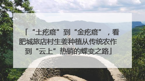“土疙瘩”到“金疙瘩”，看肥城旅店村生姜种植从传统农作到“云上”热销的蝶变之路