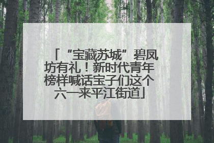 “宝藏苏城”碧凤坊有礼！新时代青年榜样喊话宝子们这个六一来平江街道