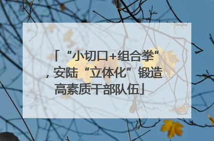 “小切口+组合拳”，安陆“立体化”锻造高素质干部队伍
