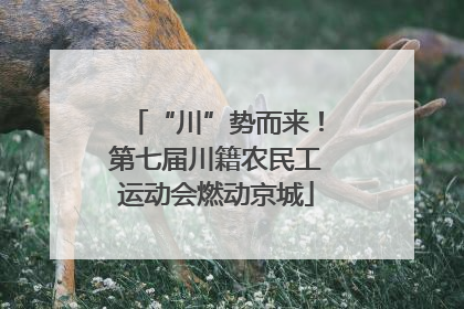 “川”势而来！第七届川籍农民工运动会燃动京城