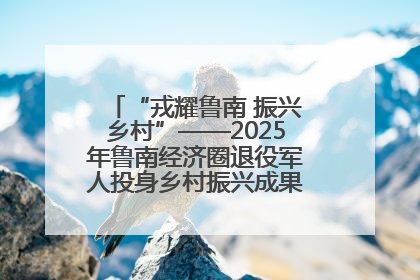 “戎耀鲁南 振兴乡村”——2025年鲁南经济圈退役军人投身乡村振兴成果展销会盛大启幕