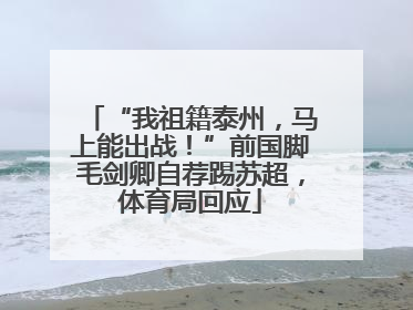 “我祖籍泰州，马上能出战！”前国脚毛剑卿自荐踢苏超，体育局回应