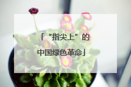 “指尖上”的中国绿色革命