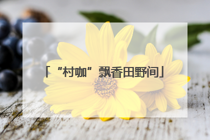 “村咖”飘香田野间