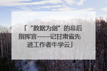 “数据为剑”的幕后指挥官——记甘肃省先进工作者牛学云