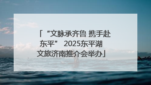 “文脉承齐鲁 携手赴东平” 2025东平湖文旅济南推介会举办
