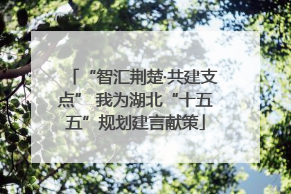 “智汇荆楚·共建支点” 我为湖北“十五五”规划建言献策