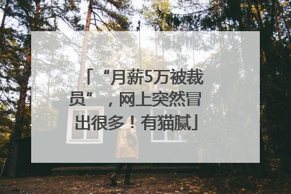 “月薪5万被裁员”，网上突然冒出很多！有猫腻