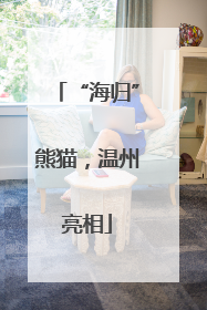 “海归”熊猫，温州亮相