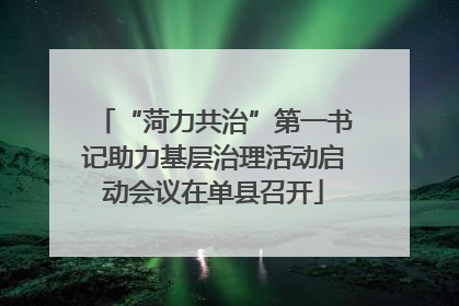 “菏力共治”第一书记助力基层治理活动启动会议在单县召开