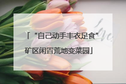 “自己动手丰衣足食”矿区闲置荒地变菜园
