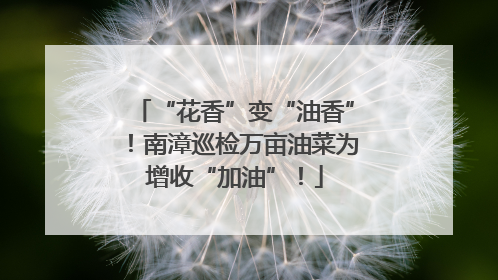 “花香”变“油香”！南漳巡检万亩油菜为增收“加油”！