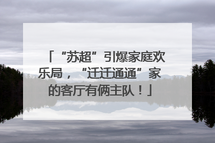 “苏超”引爆家庭欢乐局，“迁迁通通”家的客厅有俩主队！