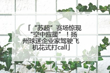 “苏超”赛场惊现 “空中应援”！扬州球迷企业家驾驶飞机花式打call