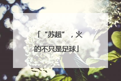“苏超”，火的不只是足球