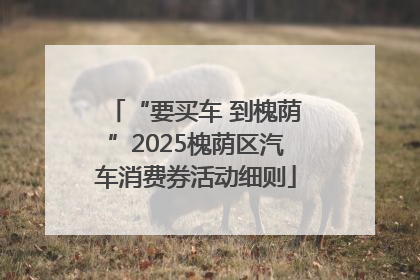 “要买车 到槐荫”2025槐荫区汽车消费券活动细则