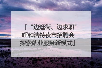 “边逛街、边求职” 呼和浩特夜市招聘会探索就业服务新模式