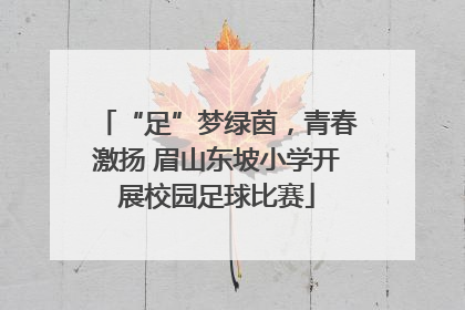 “足”梦绿茵，青春激扬 眉山东坡小学开展校园足球比赛