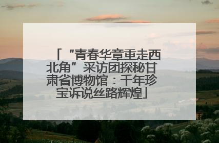 “青春华章重走西北角”采访团探秘甘肃省博物馆：千年珍宝诉说丝路辉煌