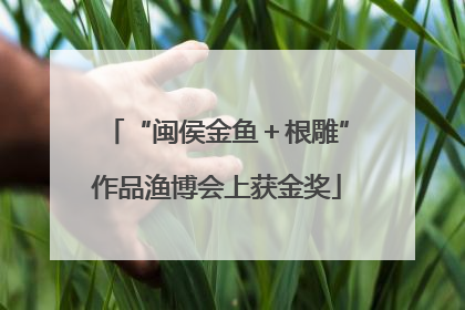 “闽侯金鱼＋根雕”作品渔博会上获金奖
