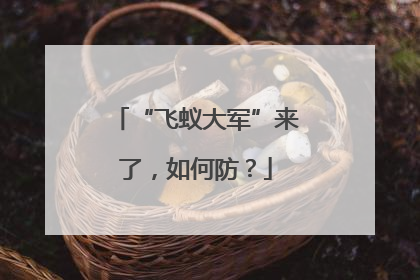 “飞蚁大军”来了，如何防？