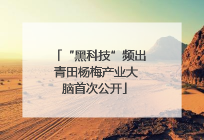 “黑科技”频出 青田杨梅产业大脑首次公开