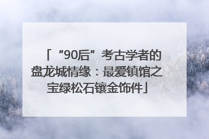 “90后”考古学者的盘龙城情缘：最爱镇馆之宝绿松石镶金饰件