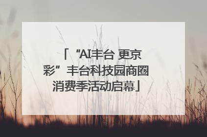 “AI丰台 更京彩”丰台科技园商圈消费季活动启幕