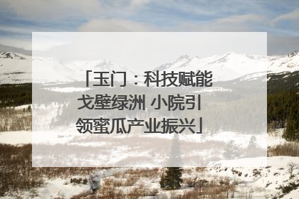 玉门：科技赋能戈壁绿洲 小院引领蜜瓜产业振兴